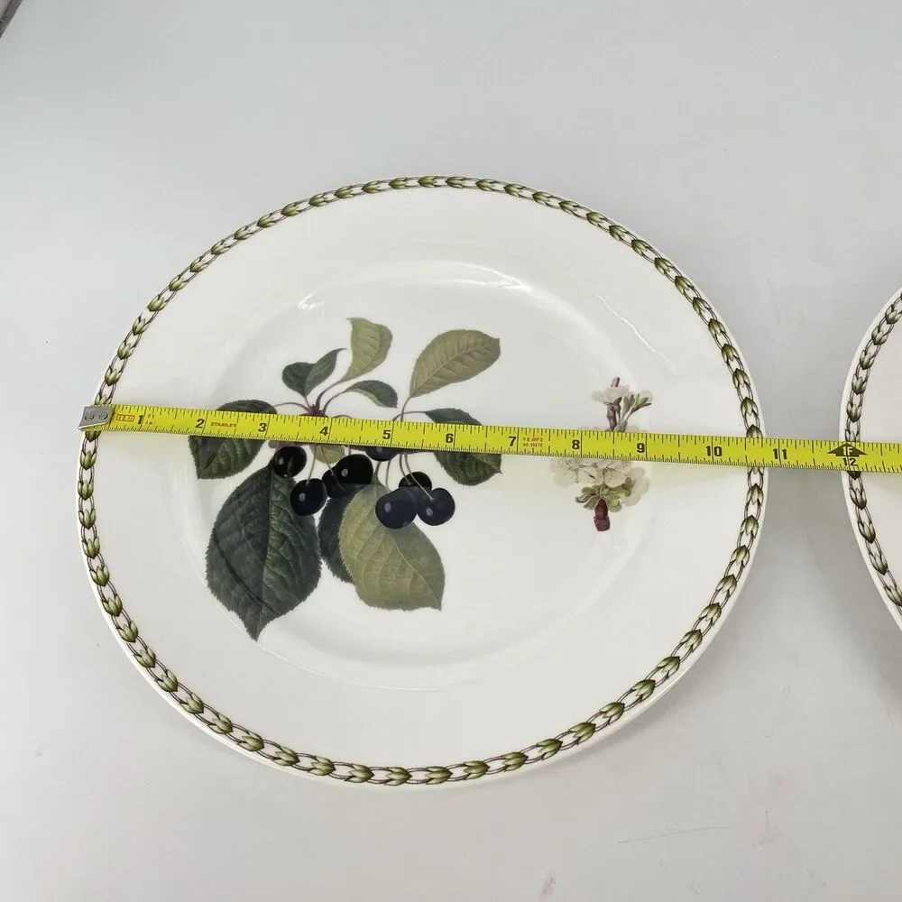 RHS Royal Horticultural Society Botanical Dinner Plates Set 2 India 10 7/8”